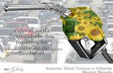 Valoração da flexibilidade dos insumos na produção do Biodiesel