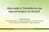 Mercado e Tendência da Agroenergia no Brasil  João Abreu