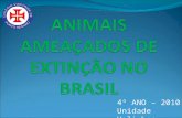 ANIMAIS AMEAÇADOS DE EXTINÇÃO NO BRASIL