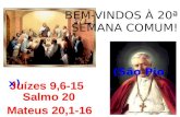 BEM-VINDOS À 20ª SEMANA COMUM!                              (São Pio x)