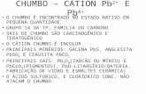 CHUMBO – CÁTION Pb 2+   E  Pb 4+
