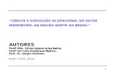 “CÂNCER E EXPOSIÇÃO OCUPACIONAL NO SETOR MADEIREIRO, NA REGIÃO NORTE DO BRASIL” AUTORES