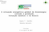 A situação energética global da bioenergia:  consumo e produção. Situação mundial e no Brasil