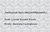 ZOOLOGIA DOS INVERTEBRADOS I Prof. Carlos Daniel Pérez Profa. Daniela Castiglione