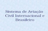 Sistema de Aviação  Civil Internacional e Brasileiro