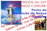 BEM-VINDOS Ao 20º DOMINGO COMUM! Festa da Assunção de Nossa Senhora