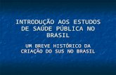 INTRODUÇÃO AOS ESTUDOS DE SAÚDE PÚBLICA NO BRASIL