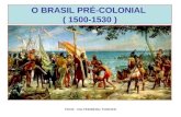 O BRASIL PRÉ-COLONIAL  ( 1500-1530 )
