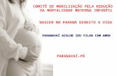 COMITÊ DE MOBILIZAÇÃO PELA REDUÇÃO     DA MORTALIDADE MATERNA INFANTIL