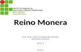Reino Monera Prof. M.Sc. Fábio Henrique Oliveira Silva fabio.silva@svc.ifmt.br Parte 3 2011.1