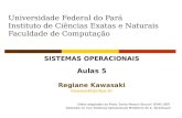 Universidade  Federal do Pará Instituto de Ciências  Exatas e Naturais Faculdade de  Computação