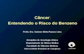 Câncer : Entendendo o Risco do Benzeno