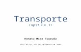 Transporte Capítulo 11