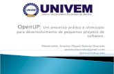 OpenUP :  Um processo prático e otimizado para desenvolvimento de pequenos projetos de software.