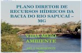 PLANO DIRETOR DE RECURSOS HÍDRICOS DA BACIA DO RIO SAPUCAÍ – MG