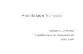 Microfibrilas e  Trombose