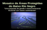 Mosaico de Áreas Protegidas do Baixo Rio Negro
