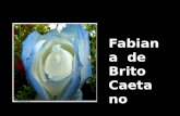 Fabiana  de Brito Caetano