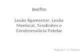 Joelho Lesão ligamentar, Lesão Meniscal, Tendinites e Condromalácia Patelar