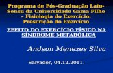 EFEITO DO EXERCÍCIO FÍSICO NA SÍNDROME METABÓLICA Andson Menezes Silva Salvador, 04.12.2011.