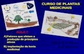 CURSO DE PLANTAS MEDICINAIS