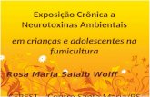 Exposi ção Crônica a Neurotoxinas Ambientais