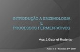 Introdução a Enzimologia e Processos fermentativos