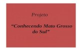 Projeto   “Conhecendo Mato Grosso do Sul”