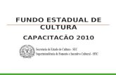 FUNDO ESTADUAL DE CULTURA CAPACITAÇÃO 2010