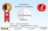 ESTGIO SUPERVISIONADO   ELETROBRS - PROCEL