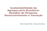 Sustentabilidade da Agropecuária Brasileira: Desafios  da  Pesquisa, Desenvolvimento e Inovação