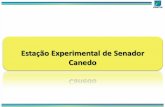 Estação Experimental de Senador Canedo