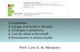 Prof. Luis S. B. Marques