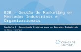 B2B - Gestão de Marketing em Mercados Industriais e Organizacionais