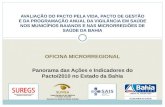 Oficina microrregional Panorama das Ações e Indicadores do Pacto/2010 no Estado da Bahia