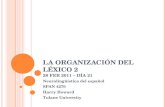 LA ORGANIZACIÓN DEL LÉXICO 2 28 FEB 2011 – DÍA 21