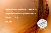 Universidade Salvador - UNIFACS Programa Interdisciplinar ARHTE  Equipe C.I.R.N STEAM