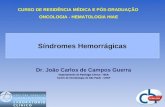 Dr. João Carlos de Campos Guerra Departamento de Patologia Clínica - HIAE