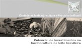 Potencial de investimentos na bovinocultura  de  leite  brasileira
