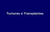 Tumores e Transplantes