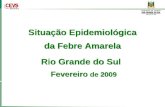 Situação Epidemiológica da Febre Amarela Rio Grande do Sul  Fevereiro  de 2009