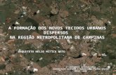 A FORMAÇÃO DOS NOVOS TECIDOS URBANOS DISPERSOS  NA REGIÃO METROPOLITANA DE CAMPINAS
