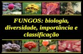 FUNGOS: biologia, diversidade, importância e classificação