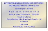 LEVANTAMENTO CONSELHOS GESTORES  DO MUNICÍPIO DE SÃO PAULO Realização Coletiva