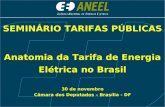SEMINÁRIO TARIFAS PÚBLICAS Anatomia da Tarifa de Energia Elétrica no Brasil 30 de novembro