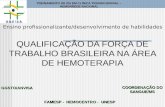 QUALIFICAÇÃO DA FORÇA DE TRABALHO BRASILEIRA NA ÁREA DE HEMOTERAPIA