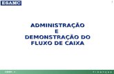ADMINISTRAÇÃO E  DEMONSTRAÇÃO DO FLUXO DE CAIXA