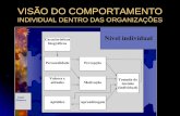 VISÃO DO COMPORTAMENTO  INDIVIDUAL DENTRO DAS ORGANIZAÇÕES