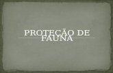 PROTEÇÃO DE FAUNA
