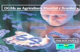 OGMs na Agricultura Mundial e Brasileira